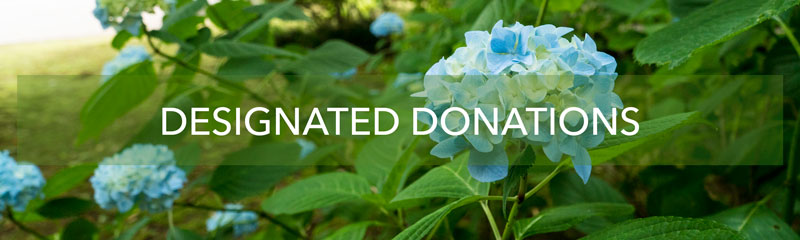 designated donations button