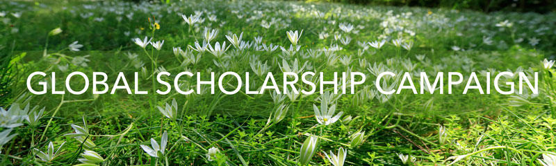 global-scholarship-campaign-button