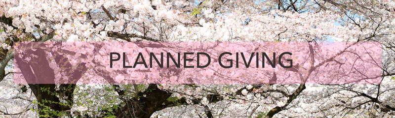 planned giving button