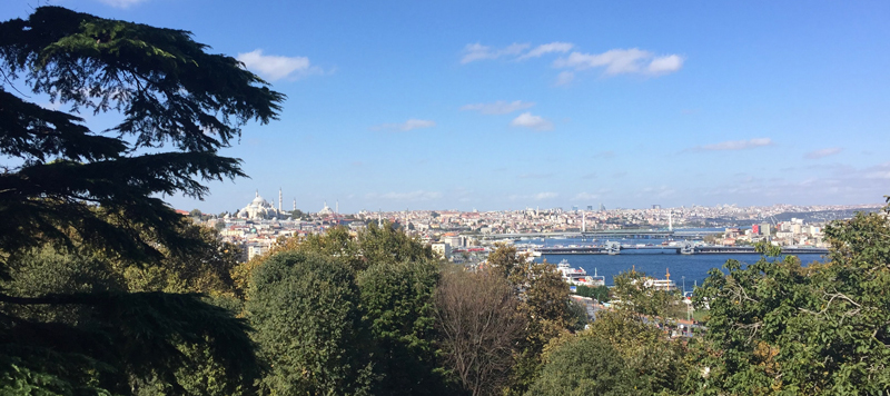 2018_10_31-Paul-Turkey-3 2018_10_31-Paul-Turkey-3