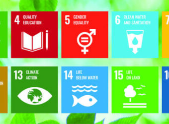 Grant SDGs-1