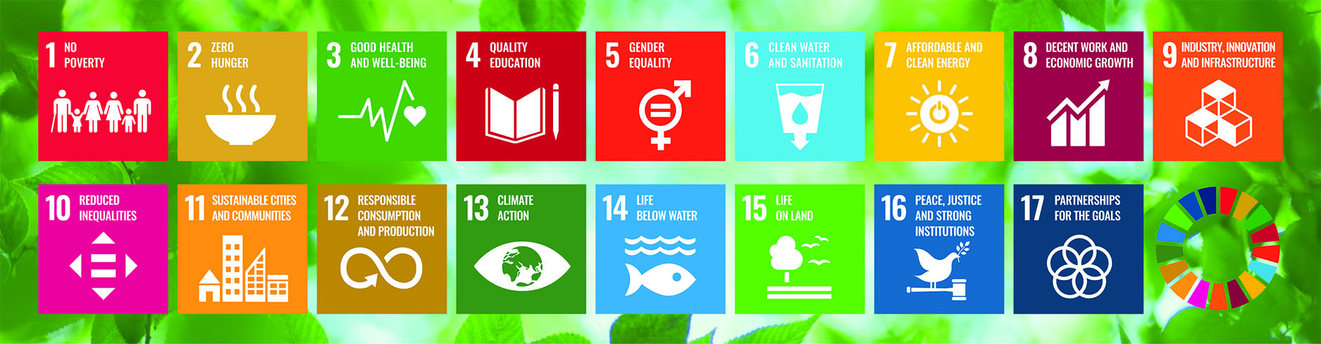 Grant SDGs-1