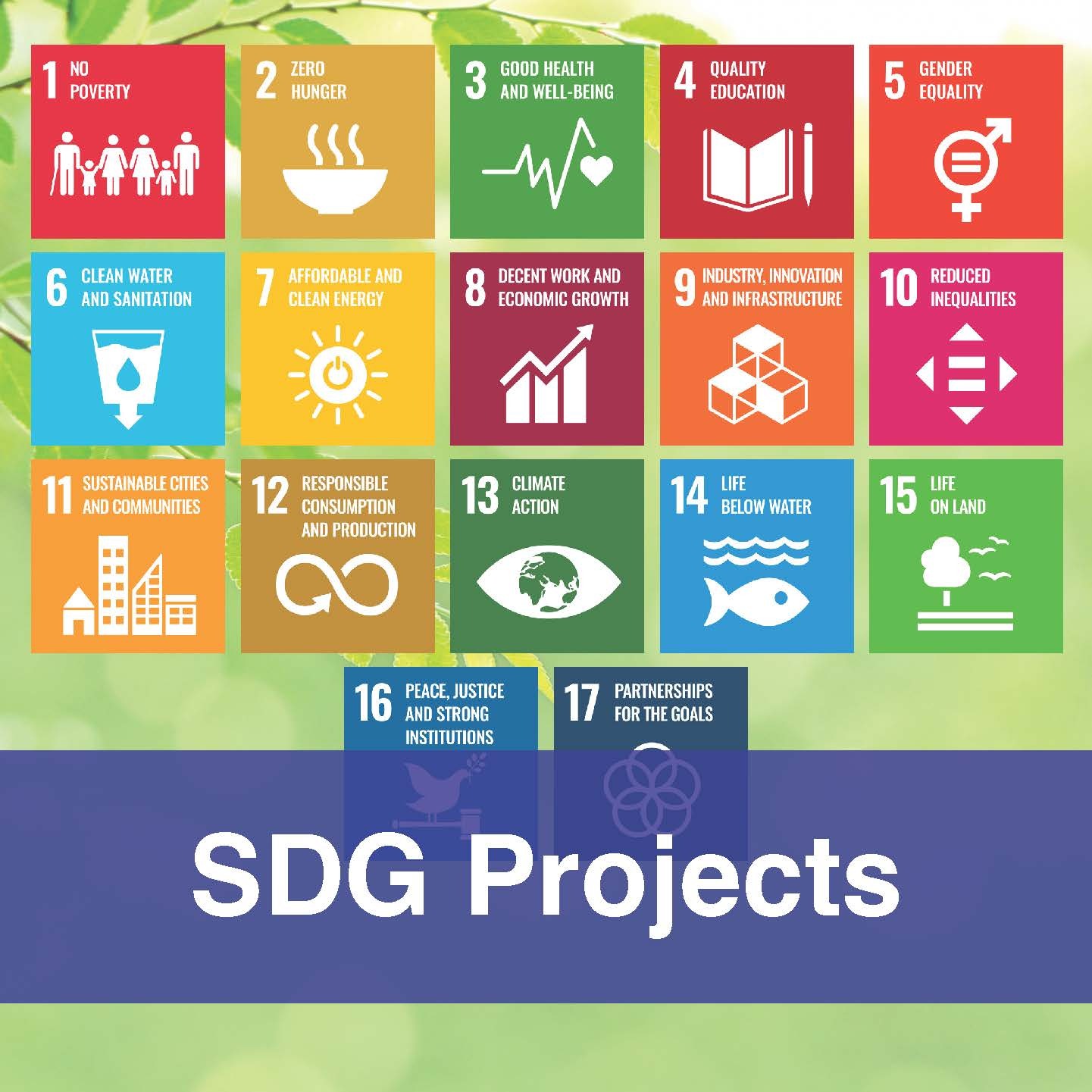 Web-Students-SDG (1)