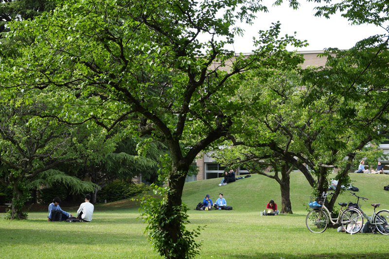 2025_7_23 JEP Grad School Scholarship article