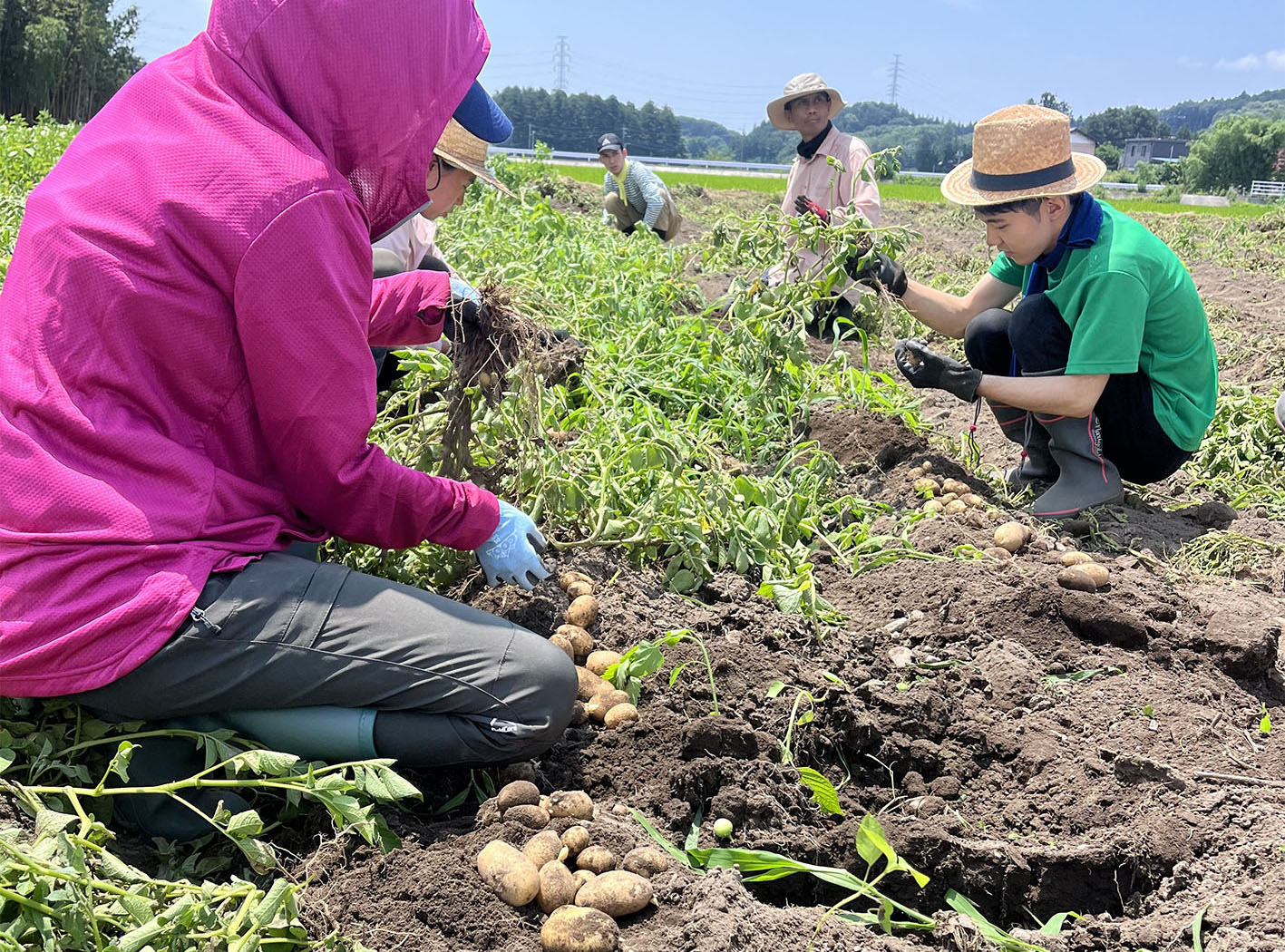 Farm work time "Food Life Work"